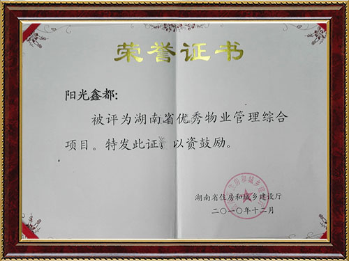 尊龙官方鑫都省优