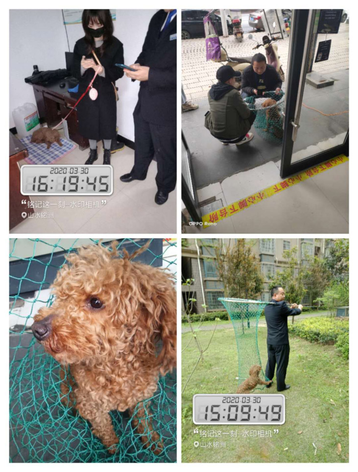 首页| 尊龙集团中国官方网站,常德物业管理,物业企业,尊龙官方物业