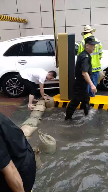 常德物业管理,物业企业,尊龙官方物业