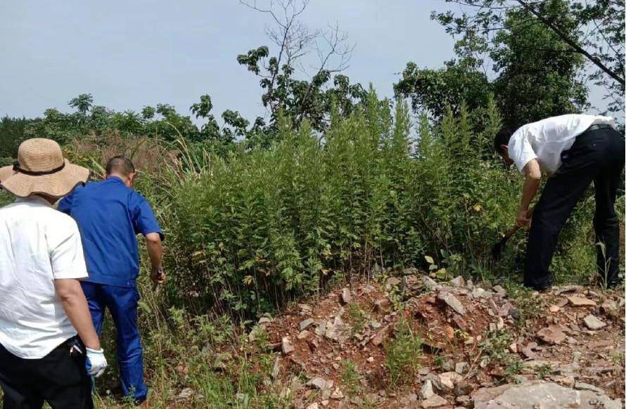 常德物业管理,物业企业,尊龙官方物业