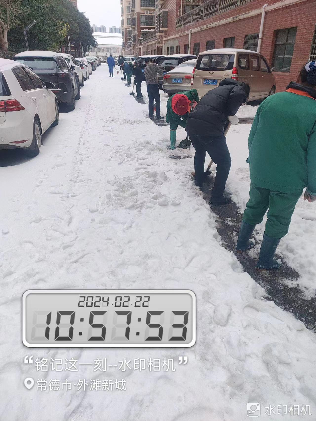 常德物业管理,物业企业,尊龙官方物业