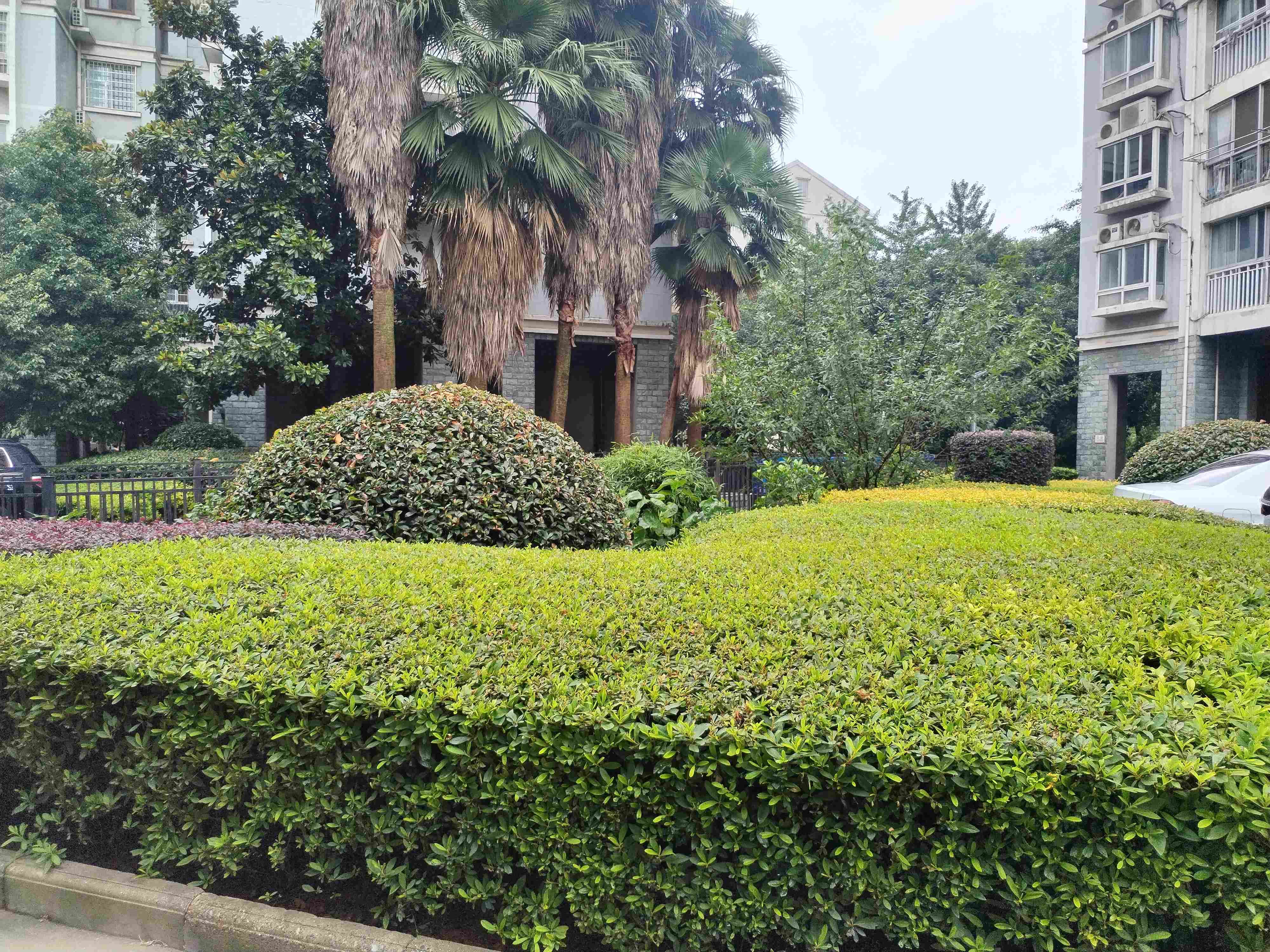 常德物业管理,物业企业,尊龙官方物业